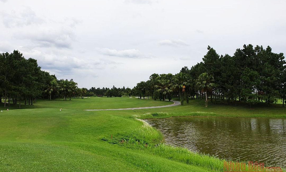 Tìm giải pháp hỗ trợ du lịch golf trong đại dịch Covid-19