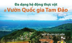 Đa dạng hệ động thực vật ở Vườn Quốc gia Tam Đảo