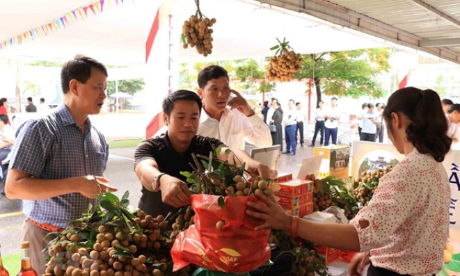 Hơn 70 nhà nhập khẩu giao thương tiêu thụ sản phẩm nhãn Việt Nam