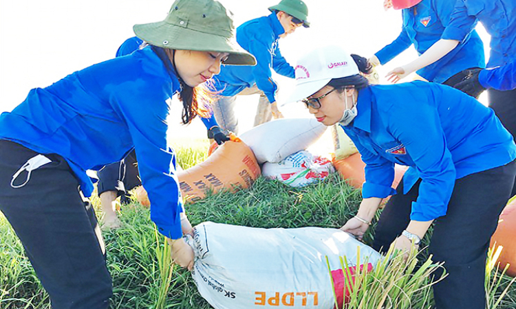 Quan tâm hơn nữa công tác chuẩn hóa cán bộ Đoàn