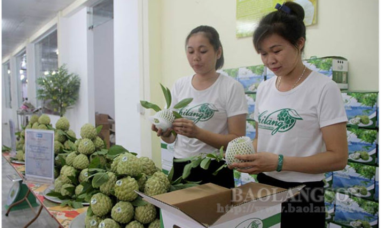 Thúc đẩy tiêu thụ na