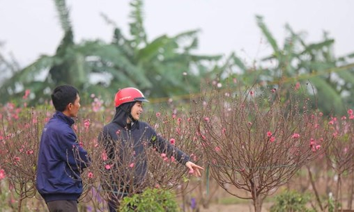 Bộ Lao động đề xuất hai phương án nghỉ Tết Tân Sửu 2021 kéo dài 7 ngày