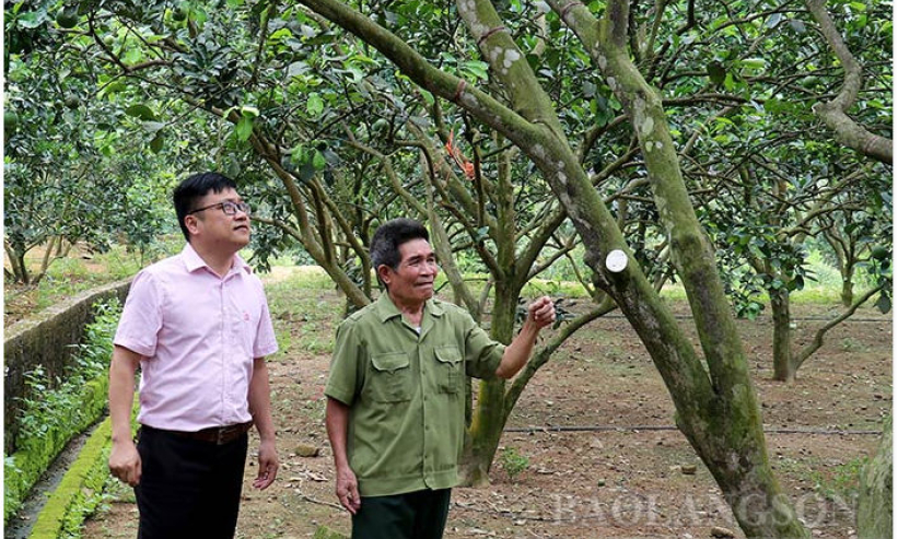 Vốn tín dụng ưu đãi: “Bà đỡ” cho hộ nghèo và đối tượng chính sách