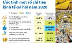 Ước tính một số chỉ tiêu kinh tế-xã hội năm 2020