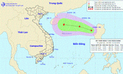 Bão số﻿ 6 chưa tan hẳn, Biển Đông lại xuất hiện áp thấp nhiệt đới mới