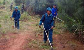 Dân quân Thanh Loà xung kích bảo vệ biên giới