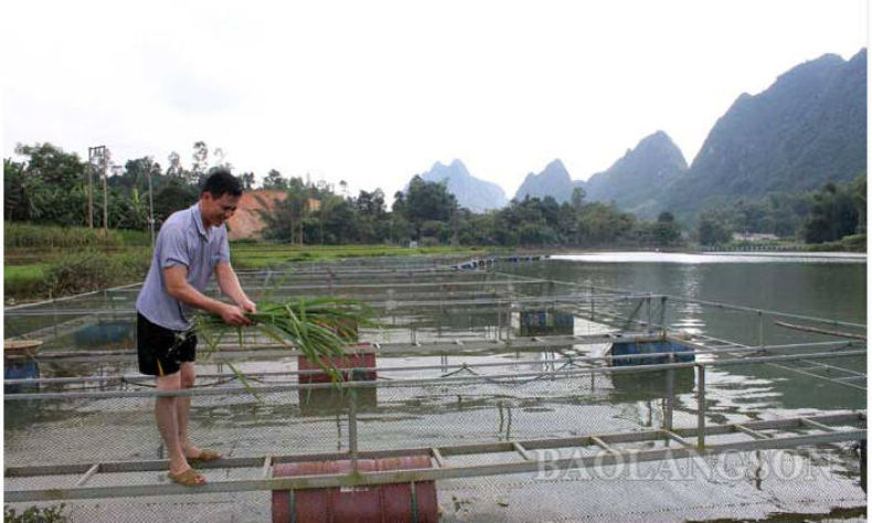 Văn Quan: Đồng bộ các giải pháp hỗ trợ hợp tác xã phát triển