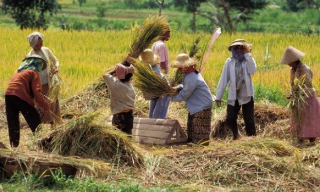 RCEP: Indonesia sẽ bỏ một số mặt hàng khỏi cam kết dỡ bỏ thuế quan