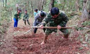 Lan tỏa phong trào toàn dân tham gia bảo vệ an ninh biên giới quốc gia