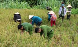 Công an huyện Đình Lập tích cực làm dân vận