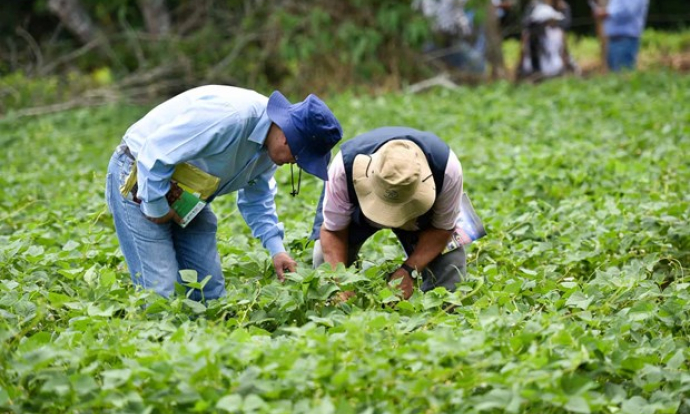 WB kêu gọi Mỹ Latinh thúc đẩy 'tăng trưởng xanh' trong nông nghiệp