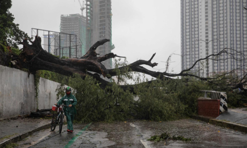 Bão Vamco càn quét đảo chính Luzon của Philippines