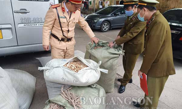 Thu giữ gần 400 kg đương quy, hoàng kỳ nhập lậu