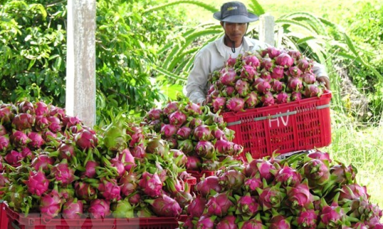 Hợp tác phát triển nông nghiệp trong bối cảnh dịch COVID-19