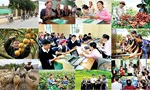 Đáp ứng kịp thời nhu cầu vốn cho đối tượng chính sách trong năm 2021