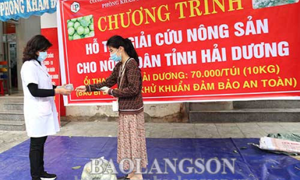 “Giải cứu” 6 tấn ổi Thanh Hà, Hải Dương