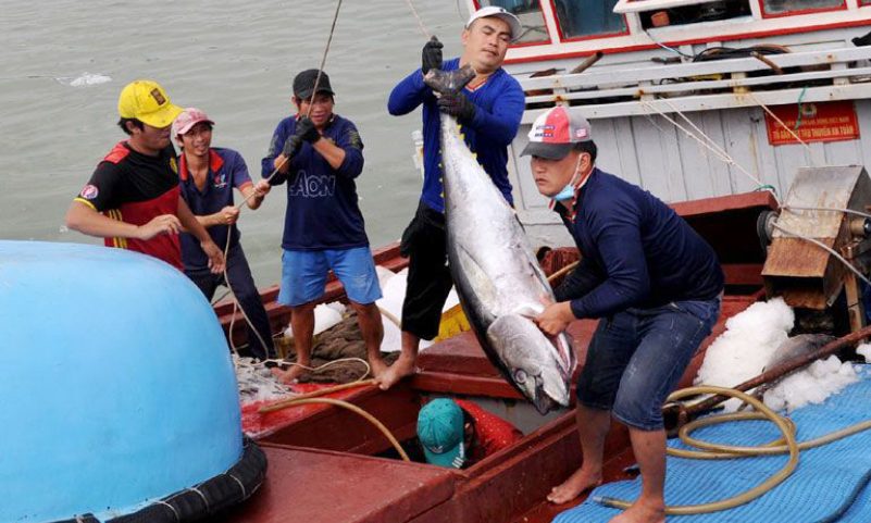 Ngư dân nhiều địa phương được mùa đánh bắt hải sản