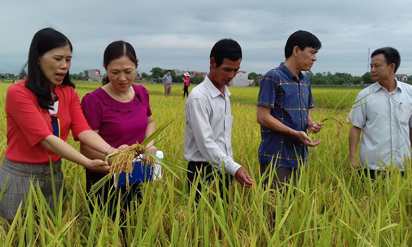 Phát huy nội lực trong xây dựng nông thôn mới ở Thái Nguyên