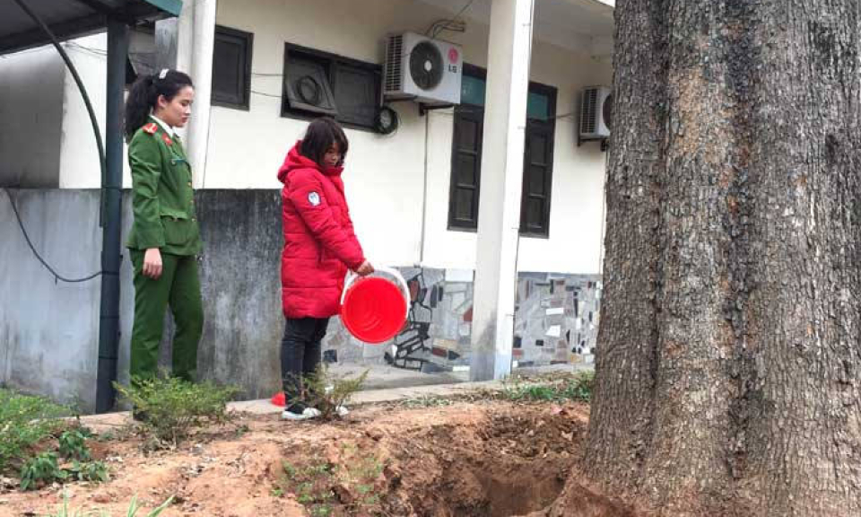 Công an tỉnh Lạng Sơn làm rõ vụ làm chết cây gỗ sưa có giá trị