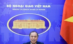 Thứ trưởng Nguyễn Quốc Dũng hội đàm với Quốc vụ khanh Ngoại giao Đức