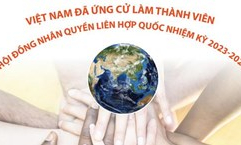 Việt Nam ứng cử làm thành viên Hội đồng Nhân quyền LHQ