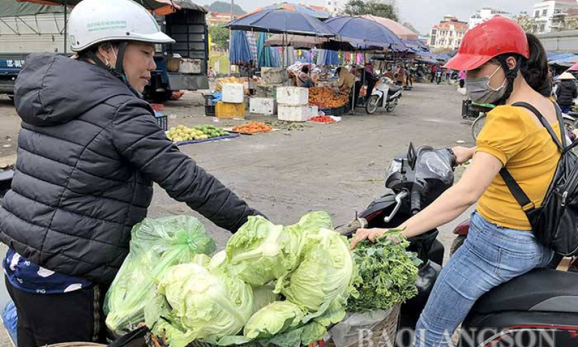 Nông dân lao đao vì rau mất giá