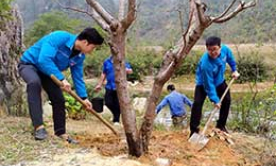 Thanh niên Lạng Sơn: Sôi nổi phong trào trồng cây đầu xuân
