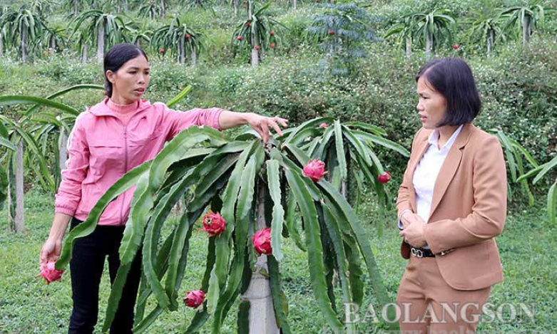 Hội Liên hiệp Phụ nữ huyện Bắc Sơn: “Cầu nối” đưa vốn tín dụng chính sách đến phụ nữ nghèo