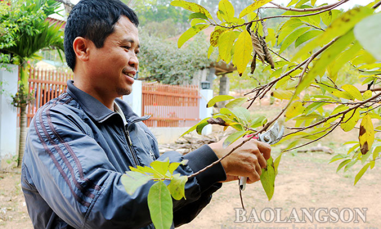 Hội Nông dân xã Cai Kinh: Thực hiện hiệu quả các phong trào thi đua