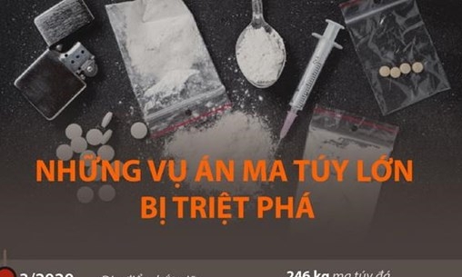 Những vụ án ma túy lớn bị triệt phá từ năm 2020 đến nay