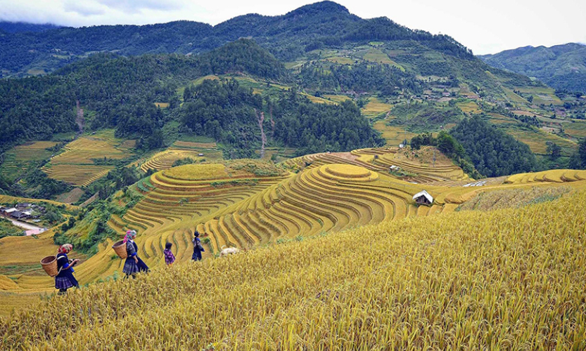 Mù Cang Chải với mục tiêu "huyện du lịch"