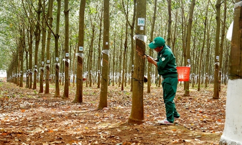 Thúc đẩy xuất khẩu nông sản sang Trung Quốc