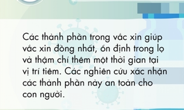 Hiệu quả khi tiêm vaccine phòng Covid-19