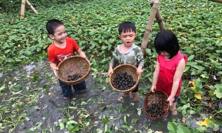 “Bếp nhà - mùa Covid” - cuộc thi đẹp mừng Ngày Gia đình Việt Nam