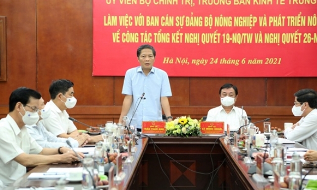 Nông nghiệp, nông dân, nông thôn nước ta mang sức sống mới, bộ mặt mới