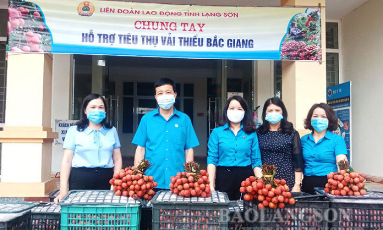 Liên đoàn Lao động tỉnh hỗ trợ nông dân Bắc Giang tiêu thụ hơn 5 tấn vải thiều