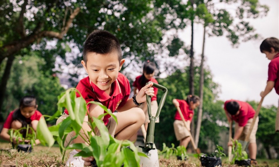 Bảo vệ môi trường là tiêu chí để phát triển bền vững