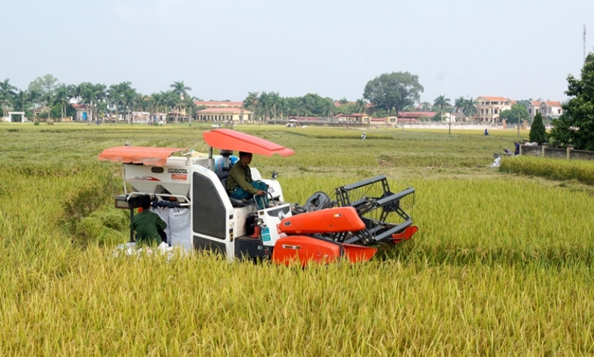 Việt Nam hướng đến trở thành nhà cung cấp lương thực minh bạch, bền vững