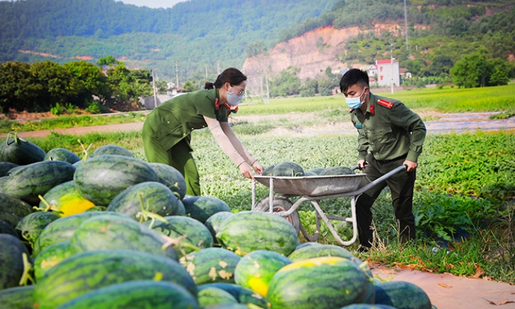 Lá chắn vững vàng nơi tâm dịch