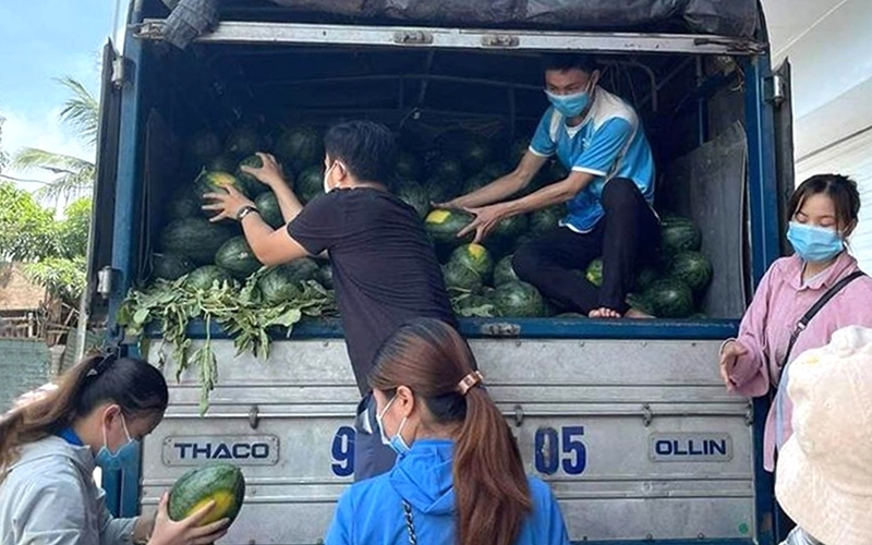 Tập trung hỗ trợ nông dân tiêu thụ nông sản