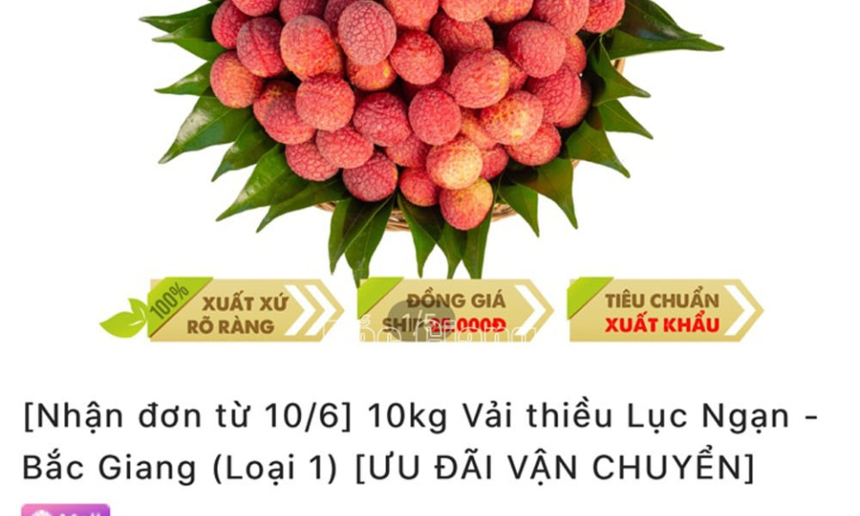 Các sàn thương mại điện tử lớn đồng loạt mở bán vải thiều Bắc Giang