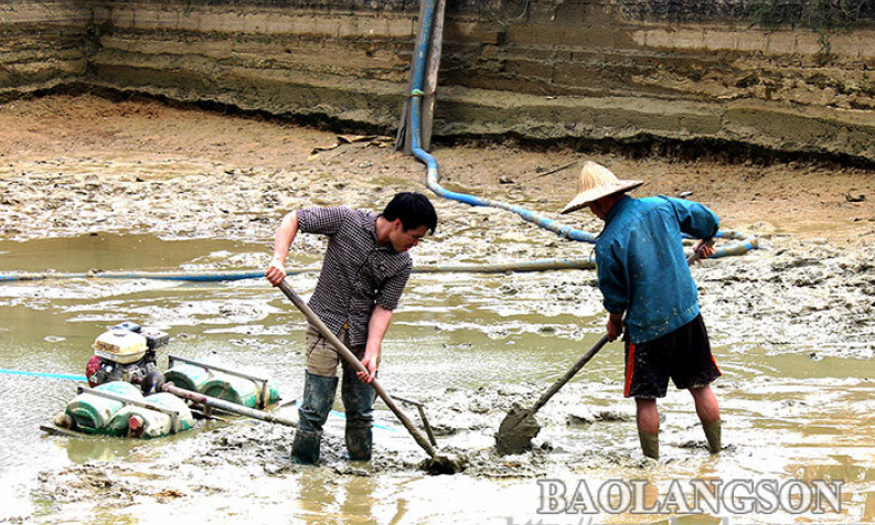 Phát huy tiềm năng phát triển các loại cá đặc sản