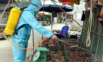 Đình Lập: Chặn nguy cơ xâm nhiễm cúm A/H5N8