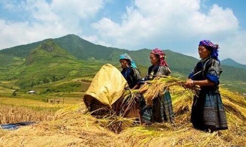 Phê duyệt Chương trình phát triển thương mại miền núi, vùng sâu, vùng xa và hải đảo giai đoạn 2021-2025