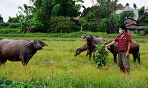 Lộc Bình: Hiệu quả từ nguồn quỹ hỗ trợ nông dân trong phát triển kinh tế