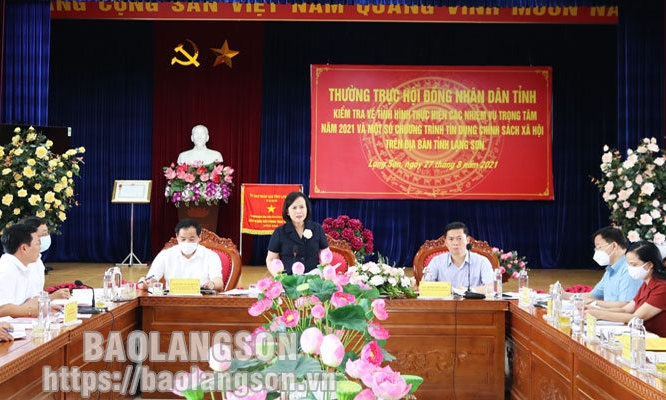 Thường trực Hội đồng Nhân dân tỉnh kiểm tra tại Ngân hàng Chính sách xã hội