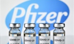 Chính phủ đồng ý mua bổ sung gần 20 triệu liều vaccine Pfizer