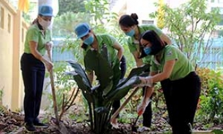 Công đoàn cơ sở Hội Liên hiệp Phụ nữ tỉnh sáng tạo xây dựng cơ quan xanh - sạch - đẹp