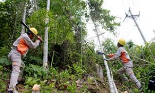 Công ty Điện lực Lạng Sơn: Chủ động đảm bảo an toàn lưới điện cao áp