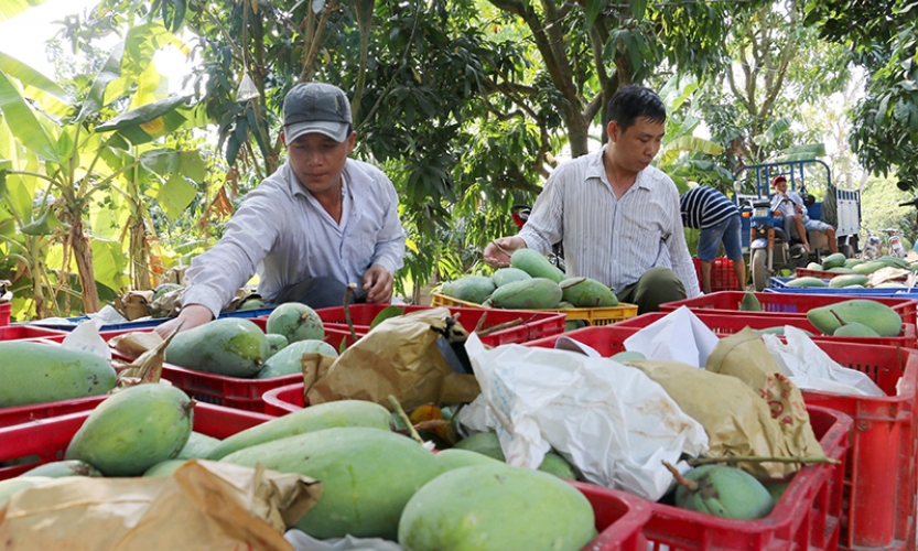 Khơi thông, kết nối cung - cầu nông sản